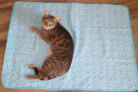 "Heat stop" - Cat Cooling Mat